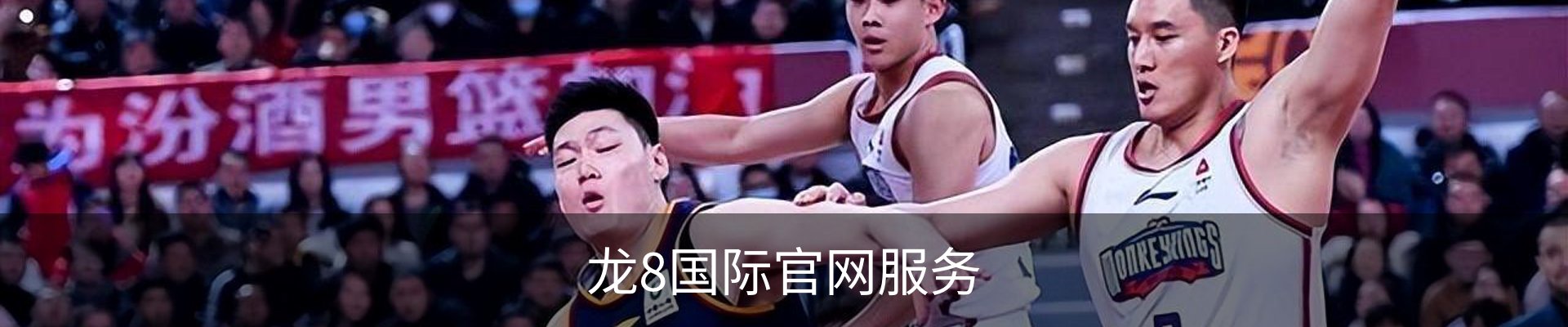 龙8国际官网服务
